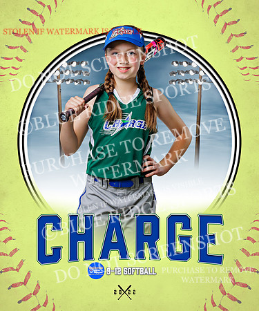 CHARGE 017 of 52