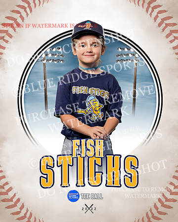 FISH STICKS 036 of 46