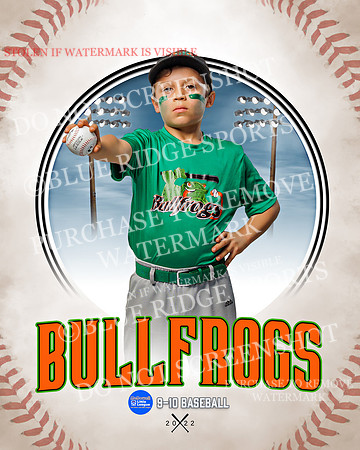 BULLFROGS 035 of 38