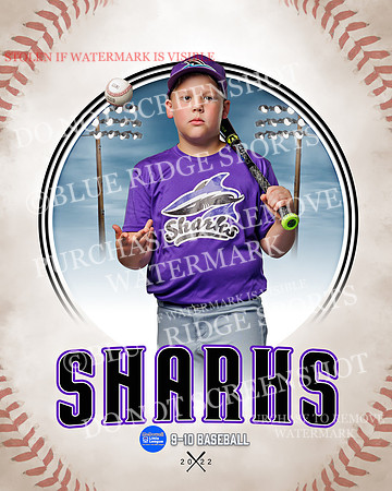 SHARKS 016 of 28