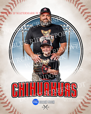 CHIHUAUAS 021 of 33