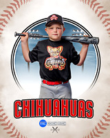 CHIHUAUAS 015 of 33