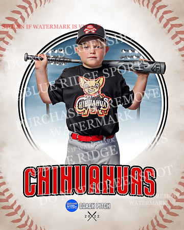 CHIHUAUAS 015 of 33