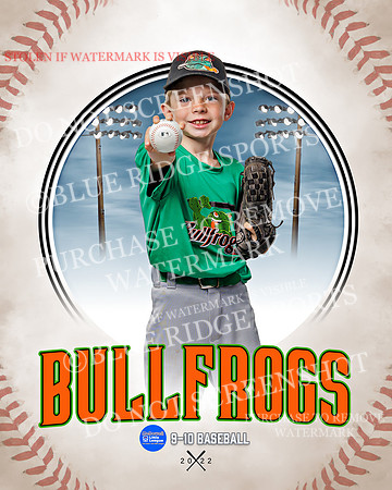 BULLFROGS 037 of 38