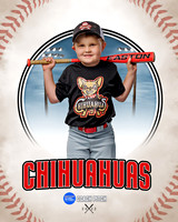 CHIHUAUAS 005 of 33