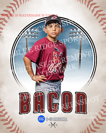 BACON 023 of 33