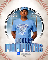 MAMMOTHS 019 of 36