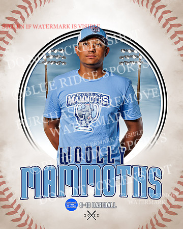 MAMMOTHS 019 of 36