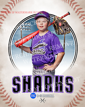 SHARKS 005 of 28