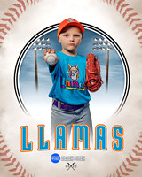LLAMAS 027 of 42