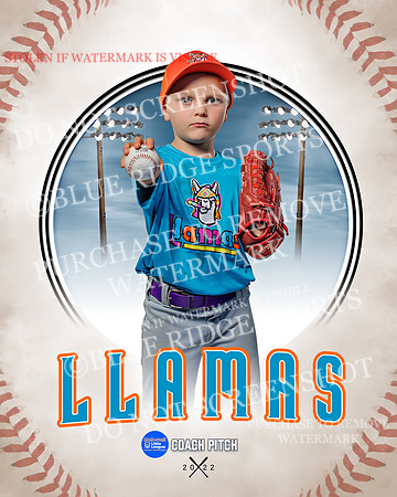 LLAMAS 027 of 42
