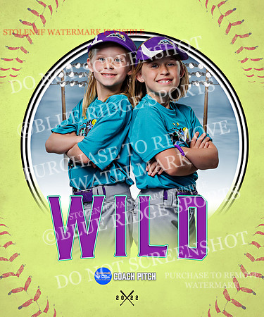 WILD 033 of 43