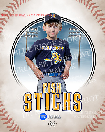 FISH STICKS 002 of 46