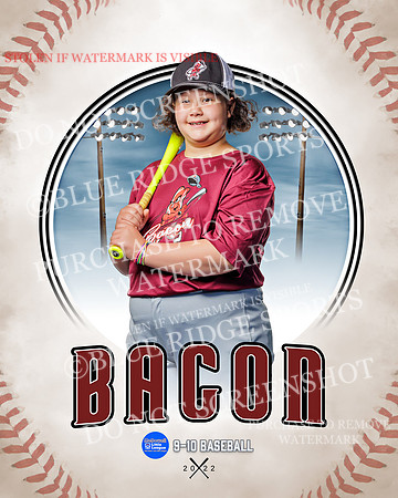 BACON 016 of 33