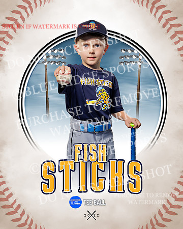 FISH STICKS 017 of 46
