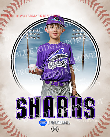SHARKS 026 of 28