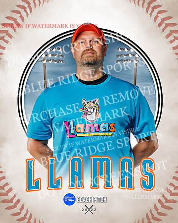 LLAMAS 036 of 42