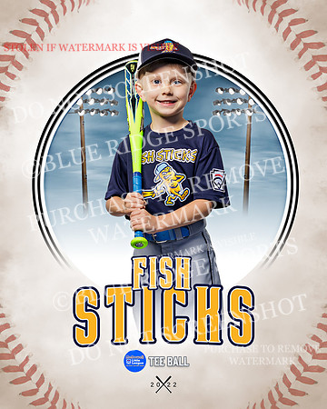 FISH STICKS 018 of 46