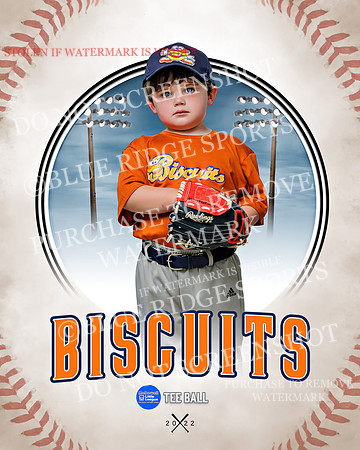 BISCUITS 045 of 45