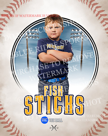 FISH STICKS 033 of 46