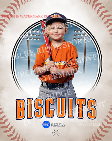 BISCUITS 038 of 45