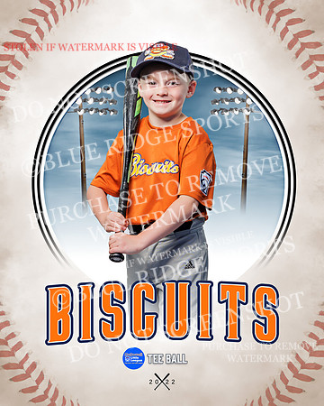 BISCUITS 020 of 45