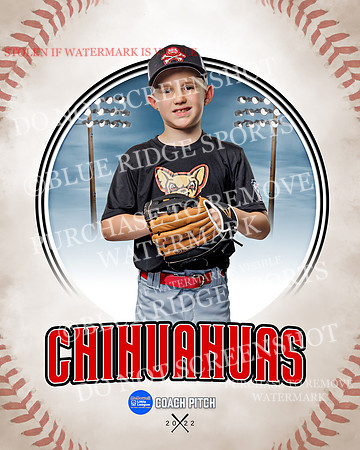 CHIHUAUAS 032 of 33