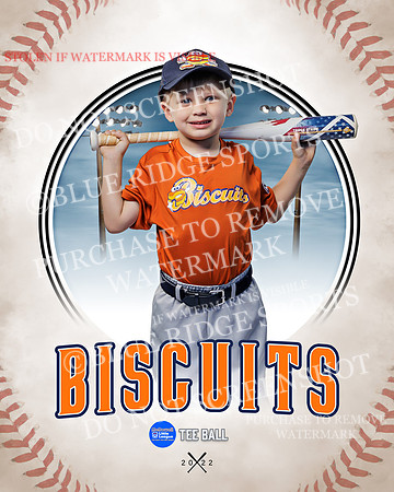 BISCUITS 031 of 45