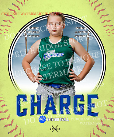 CHARGE 028 of 52