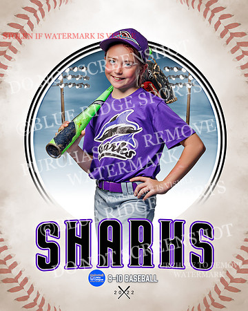SHARKS 020 of 28