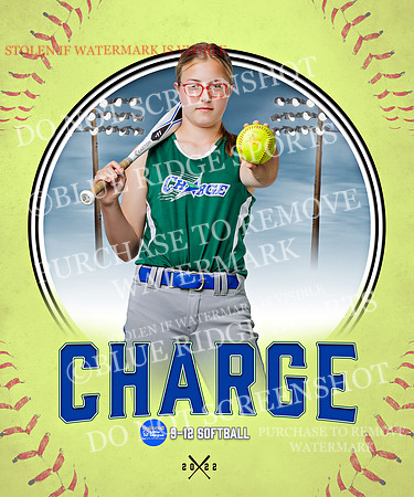 CHARGE 009 of 52