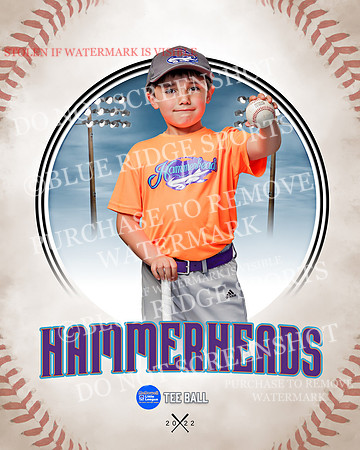 HAMMERHEADS 015 of 42
