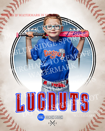 LUGNUTS 002 of 40