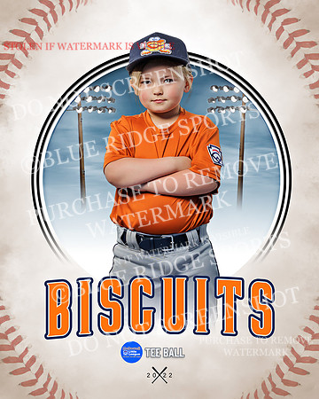 BISCUITS 037 of 45