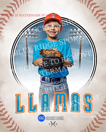 LLAMAS 017 of 42