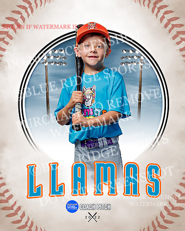 LLAMAS 038 of 42