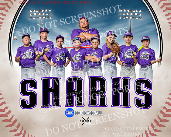 sharks.team