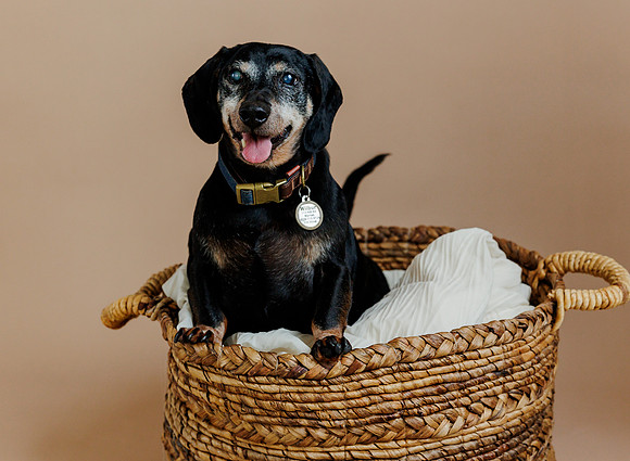 (38 of 44) WILBUR