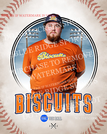 BISCUITS 024 of 45