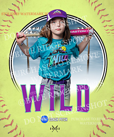 WILD 019 of 43