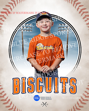 BISCUITS 033 of 45