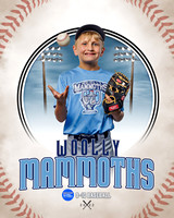 MAMMOTHS 026 of 36
