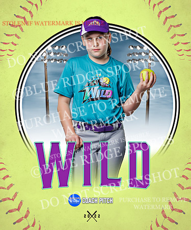 WILD 016 of 43