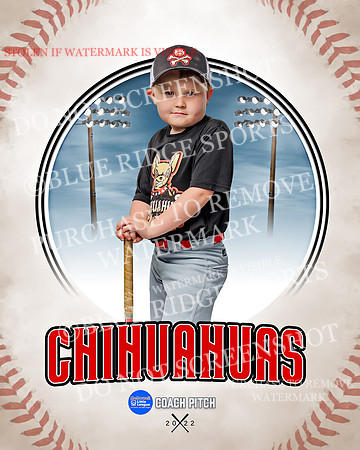 CHIHUAUAS 006 of 33
