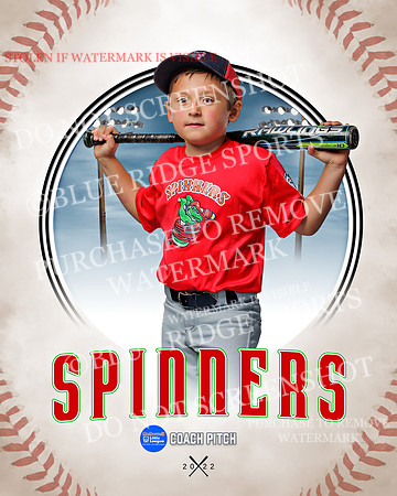 SPINNERS 017 of 40