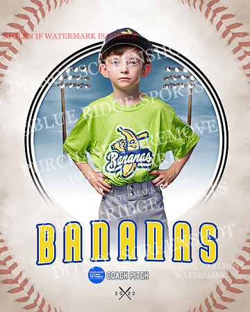 BANANAS 003 of 41