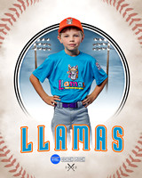 LLAMAS 012 of 42