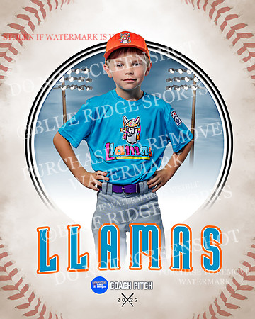 LLAMAS 012 of 42