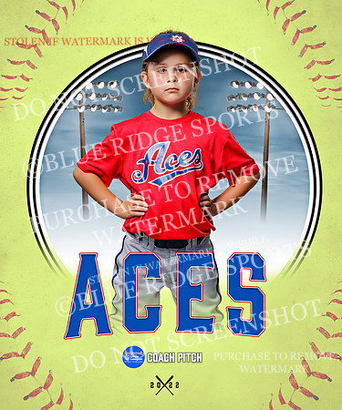 ACES 003 of 34