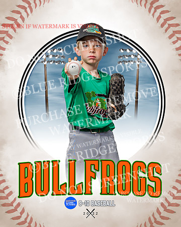BULLFROGS 038 of 38
